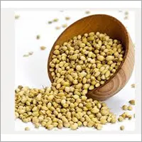 Whole-Dhania-Seed.webp