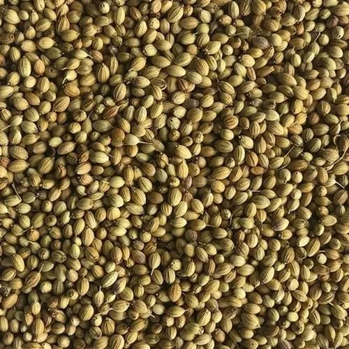 whole-coriander-dhania-692.webp
