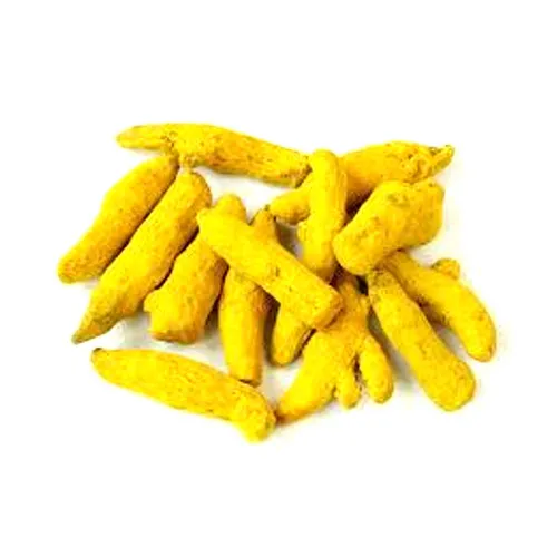 Raw-Turmeric-Fingers-Haldi..webp