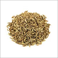 Cumin-Seed.webp
