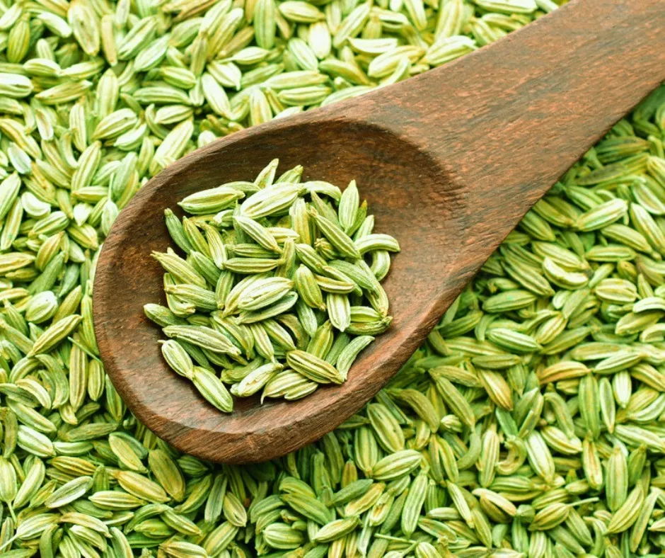Fennel-Seeds..webp