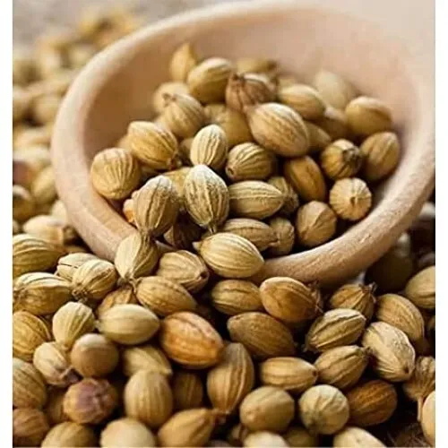fresh-indian-whole-spices-for-cooking-organic-coriander-whole-sabut-dhania-seeds-814.webp